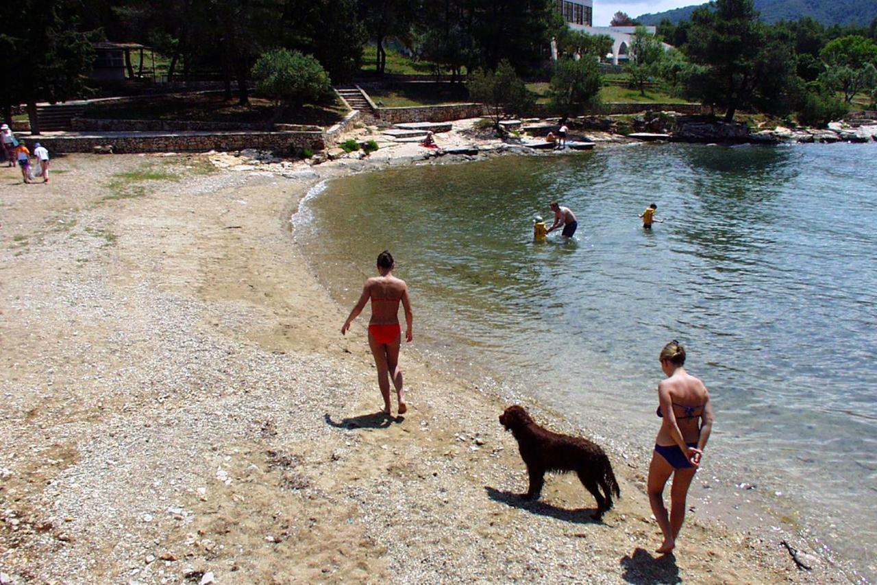 Vakantiehuis House With A Swimming Pool Stari Grad, Hvar - 17911 *
